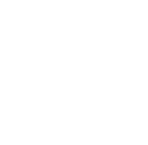 birch-bear-logo-white